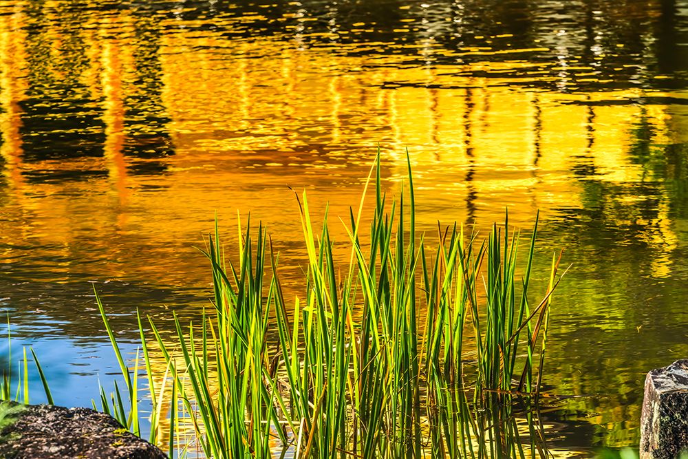Colorful water reflection, Kinkaku-Ji (Rokuon-Ji) golden pavilion, Kyoto, Japan. Dates to 1397.